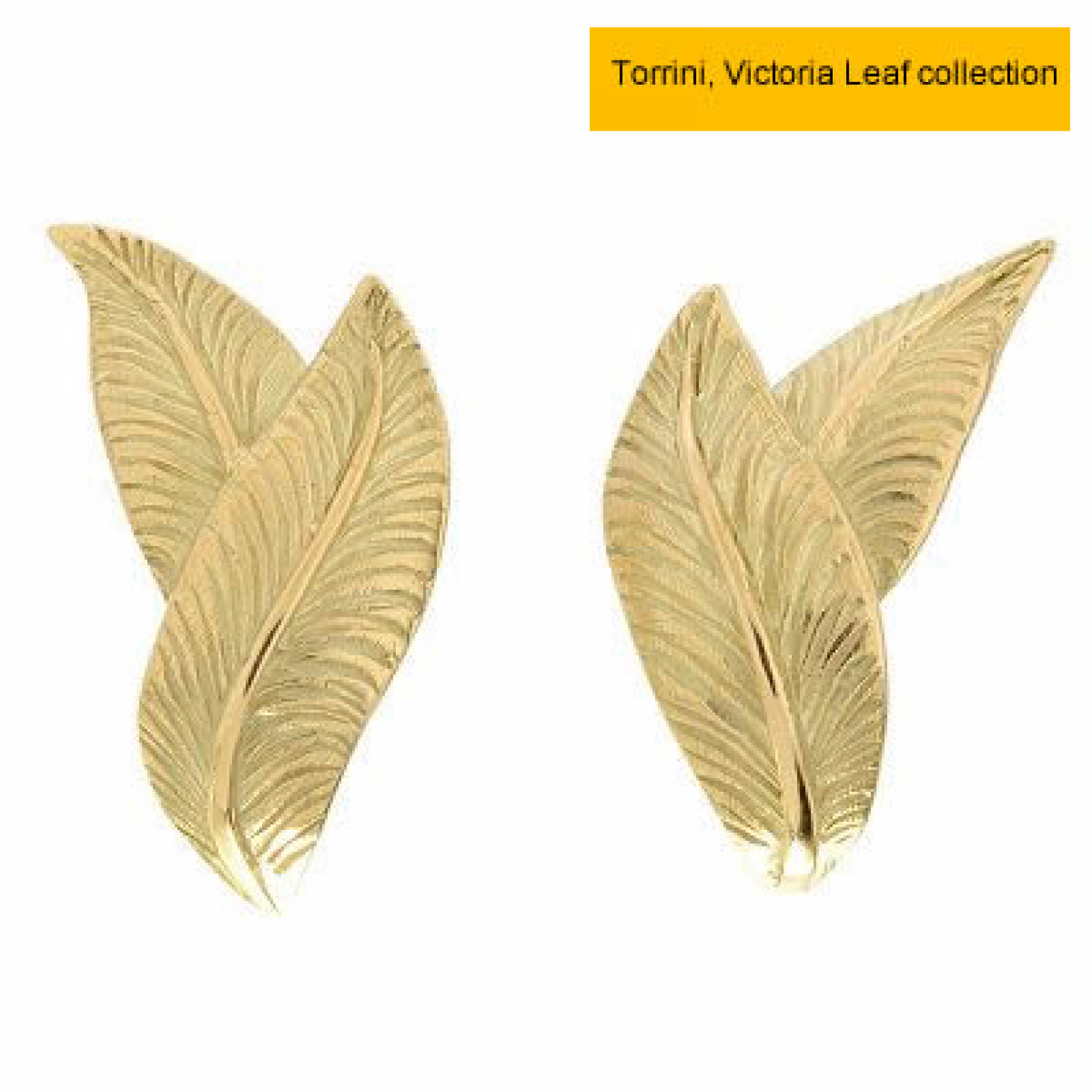 gold earrings with leaves